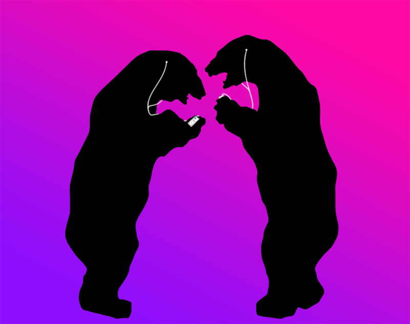 two bears